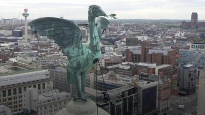 Liver birds