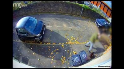 CCTV footage of a man on pavement kicking a cat