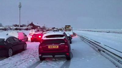 cars on road