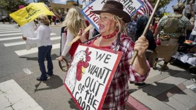 Protester in California