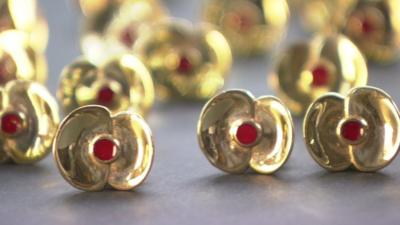 Poppy pins