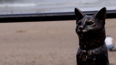 The top of a bronze statue of a cat. The beach can be seen behind it.