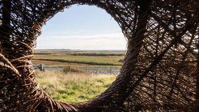 The view from inside the structure, looking out across the RSPB reserve, showing grass and a fence.