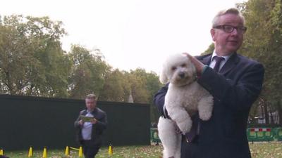 Michael Gove and dog