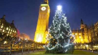 Decorated tree in Westminster