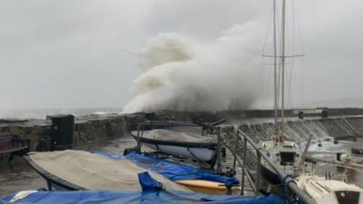 New Quay harbour