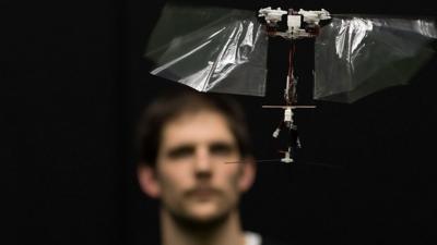 Matej Karasek looks at a flying robotic insect called a DelFly