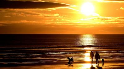 Dog walkers during sunrise on Longsands beach in Tynemouth