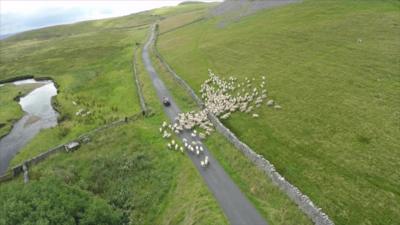 View of the Yorkshire Dales