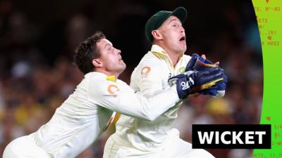 Alex Carey and Marnus Labuschagne