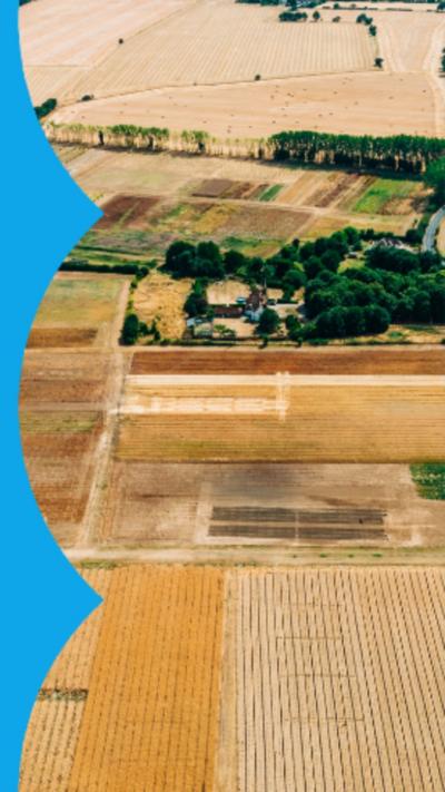 An aerial view of dead (yellow) fields during a drought
