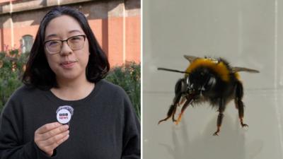 The BBC's Lana Lam in a split screen with a bee.
