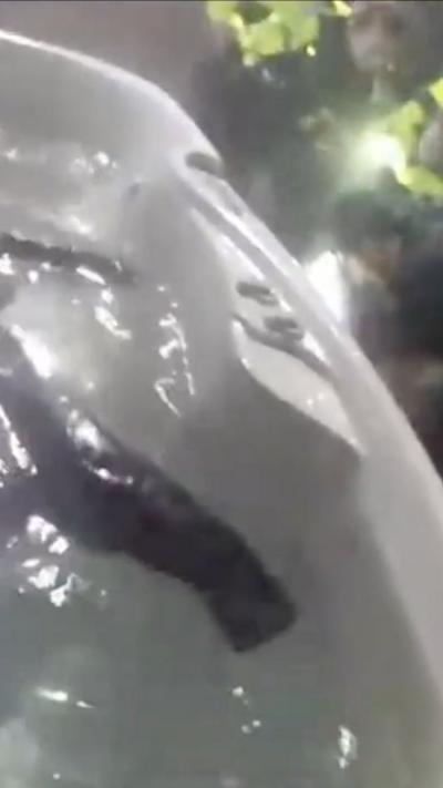 Police in corner of frame arresting a man while black clothing floats in hot tub in the rest of the frame.