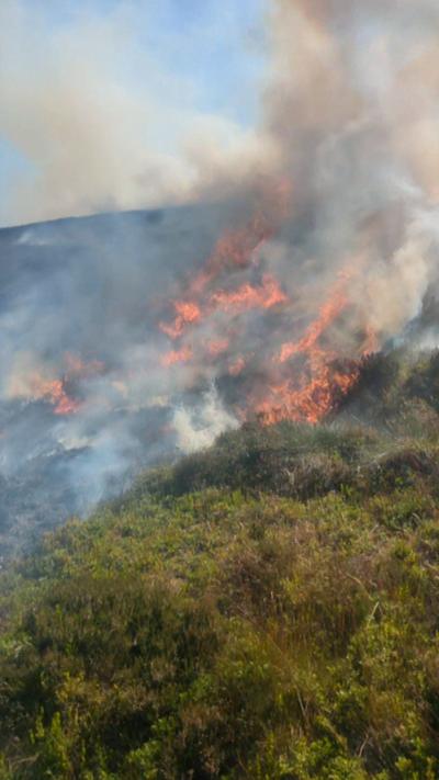 A wildfire in the Cairngorms