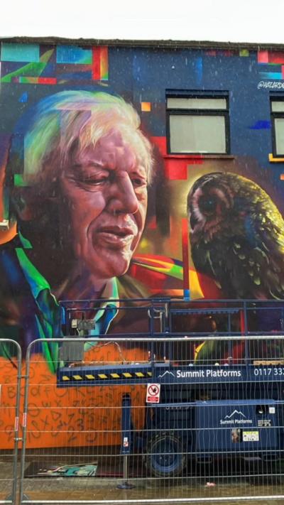A mural of Sir David Attenborough's face looking closely at a tawny owl. It is a lifelike mural, showing the broadcaster with white hair and a loving expression towards the animal.It is behind barriers, having just been painted. A blue cherry picker is also behind the barrier.