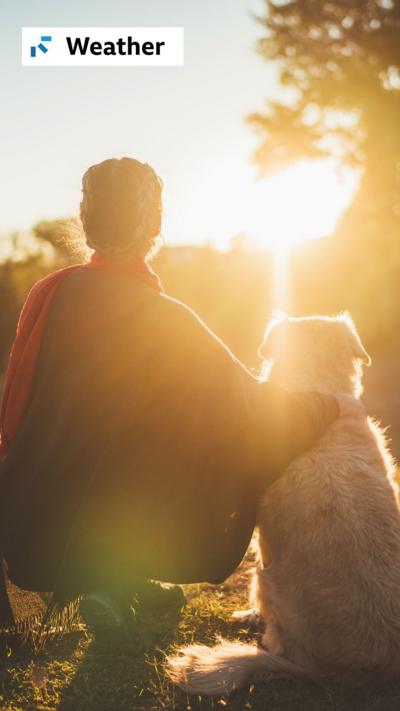 A woman wearing a jacket and scalf with her arm around her dog, both with their backs to the camera as they face a sunrise in the sky