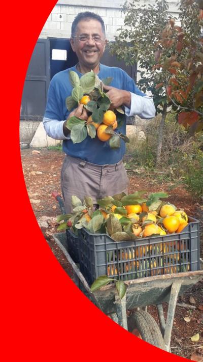 A middle-aged man holding oranges with leaves on and smiling. He has a wheelbarrow with a crate of oranges in it in front of him.