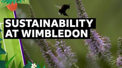 Bee flying near flowers