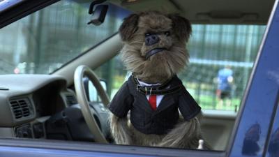 Hacker T Dog gives an interview from his car window