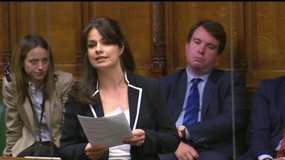 Heidi Allen