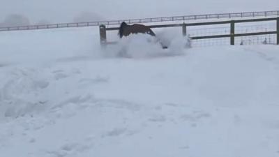 Jack face plants into the snow.