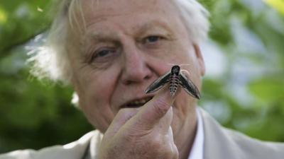 David Attenborough