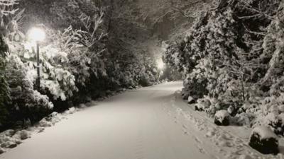 A snow-covered wooded area in Headingley, Leeds.