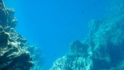 A photograph taken under water of fish swimming around rocks.