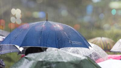 Umbrellas in the rain