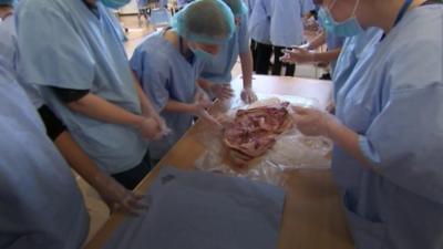 Operating Theatre Live uses real pig organs to help inspire the next generation of surgeons.