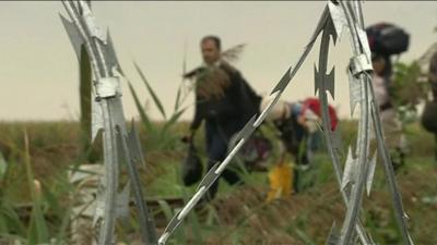 Fence near the Hungarian border with Serbia