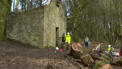 Taigh-chalman Chinn-tìre