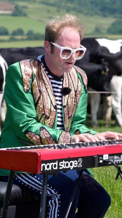 A man dressed as Elton John playing keyboard in front of some cows in a field