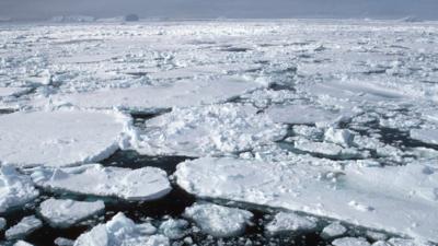 Weddell Sea ice