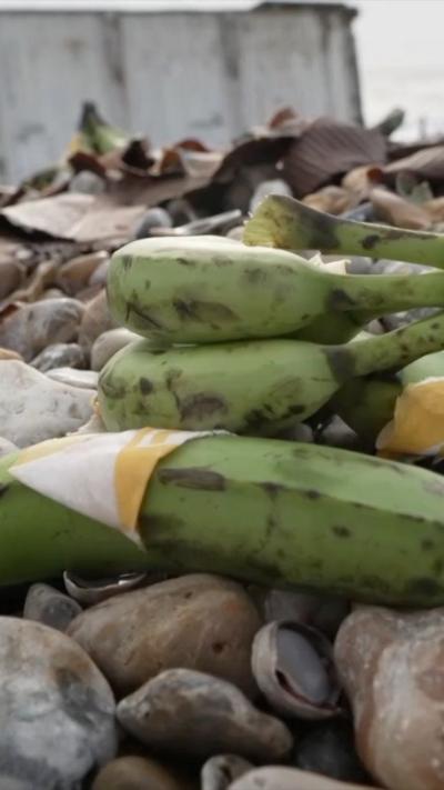 A bunch of bananas on some pebbles on a beach.