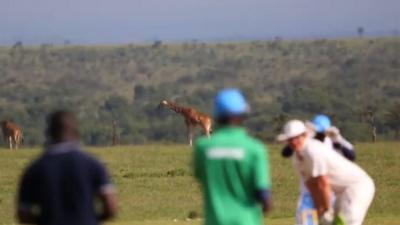 Cricket players with giraffes in the background