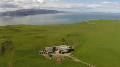 Great Orme farm