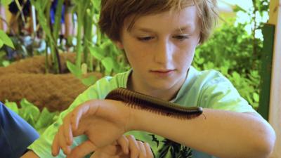 boy-with-insect.