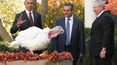 Obama pardons a turkey