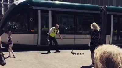 Police with ducklings