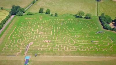 Wistow Maze