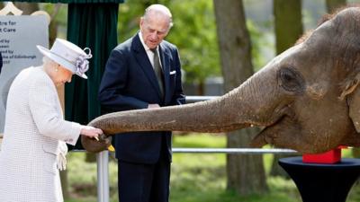 Queen feeds an elephant