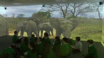 Pupils in front of screen