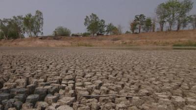 Dried out field