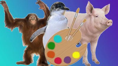 Orangutan-penguin-pig-and-paint-palette.