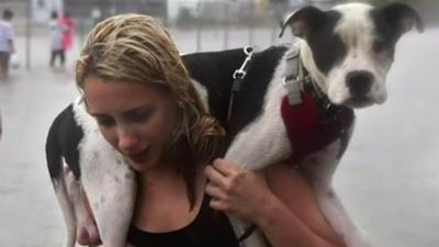 A woman carrying her pet dog on her shoulders