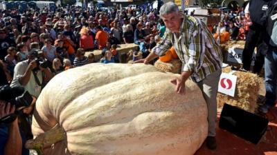Steve Daletas, from Pleasant Hill, Oregon, stands near his 893kg pumpkin