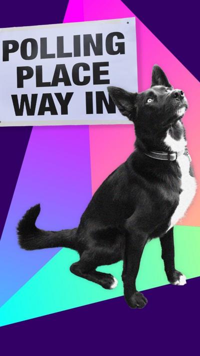 Polling place graphic with a dog