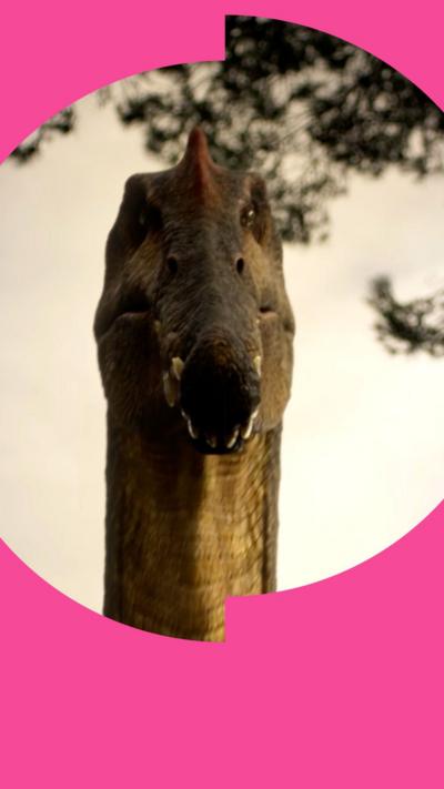 The head of a Spinosaurus dinosaur face-on