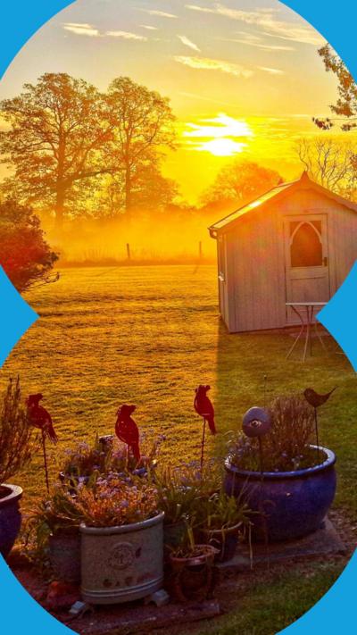 Sun rises above a garden shed through the distant trees. 